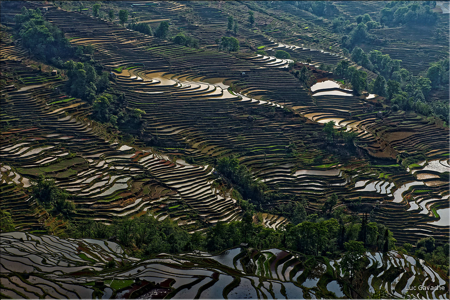 Les rizières près du village de Bada sont certainement les plus spectaculaires de cette région du Yunnan. (4)