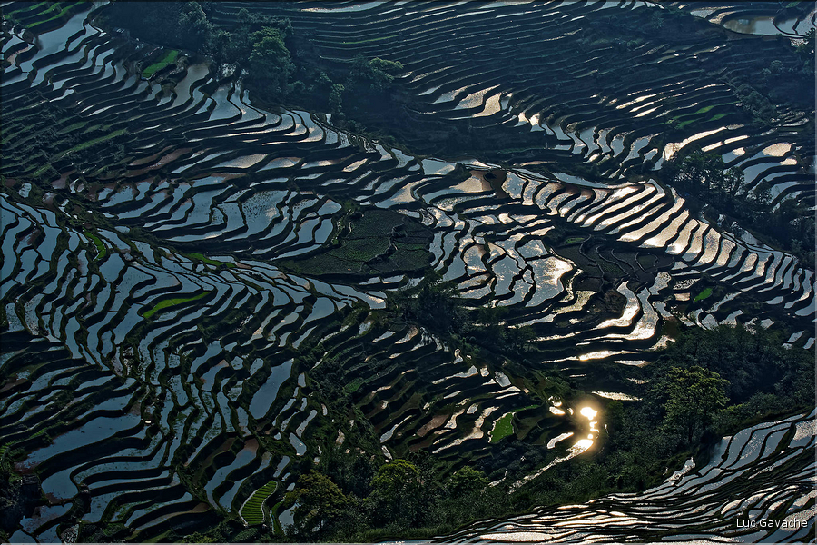 Les rizières près du village de Bada sont certainement les plus spectaculaires de cette région du Yunnan. (6)