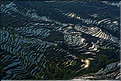Les rizières près du village de Bada sont certainement les plus spectaculaires de cette région du Yunnan. (6)