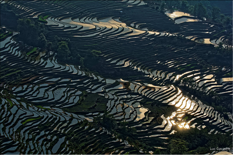 Les rizières près du village de Bada sont certainement les plus spectaculaires de cette région du Yunnan. (8)