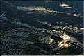 Les rizières près du village de Bada sont certainement les plus spectaculaires de cette région du Yunnan. (8)