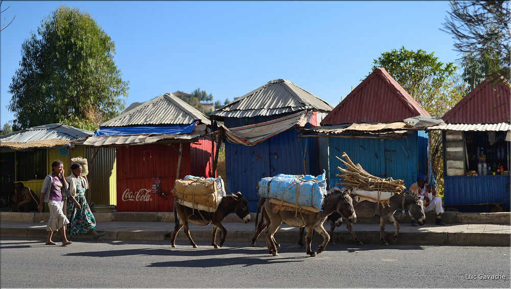 Dans les rues animées de Gondar. (1)