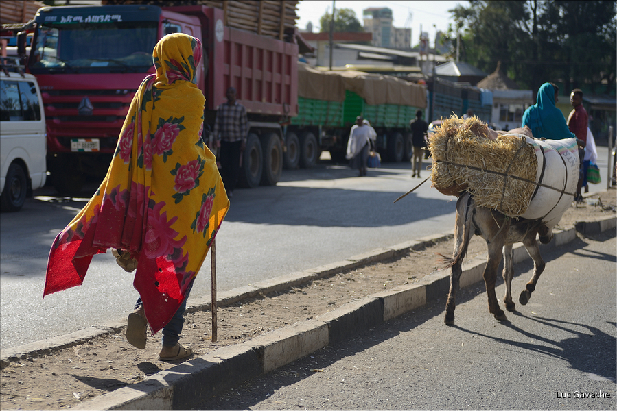 Dans les rues animées de Gondar. (3)