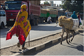 Dans les rues animées de Gondar. (3)