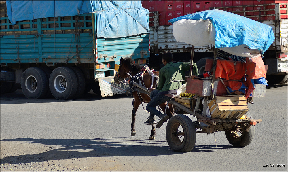 Dans les rues animées de Gondar. (7)