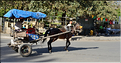 Dans les rues animées de Gondar. (14)