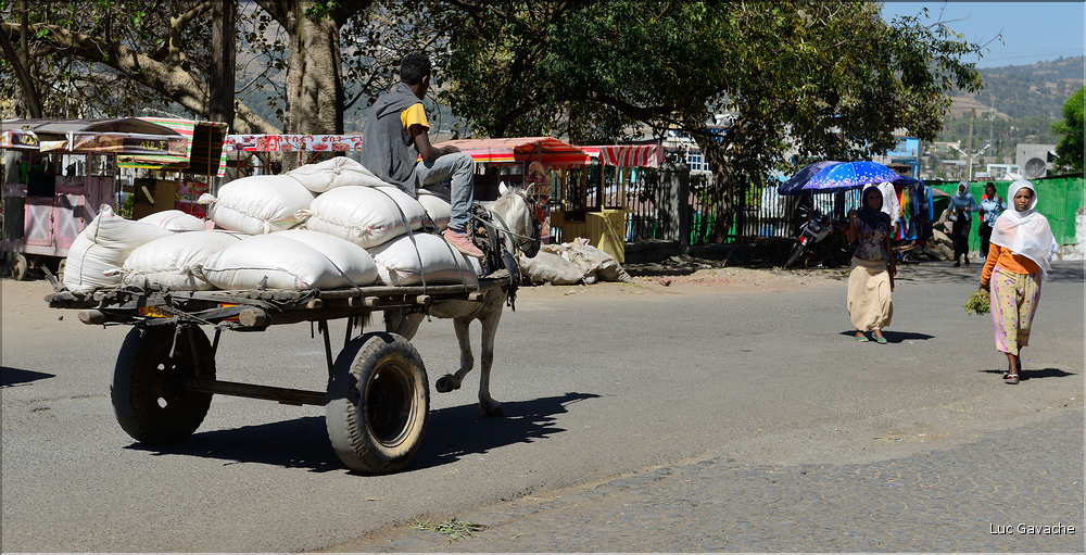 Dans les rues animées de Gondar. (19)