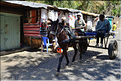Dans les rues animées de Gondar. (26)