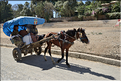 Dans les rues animées de Gondar. (28)