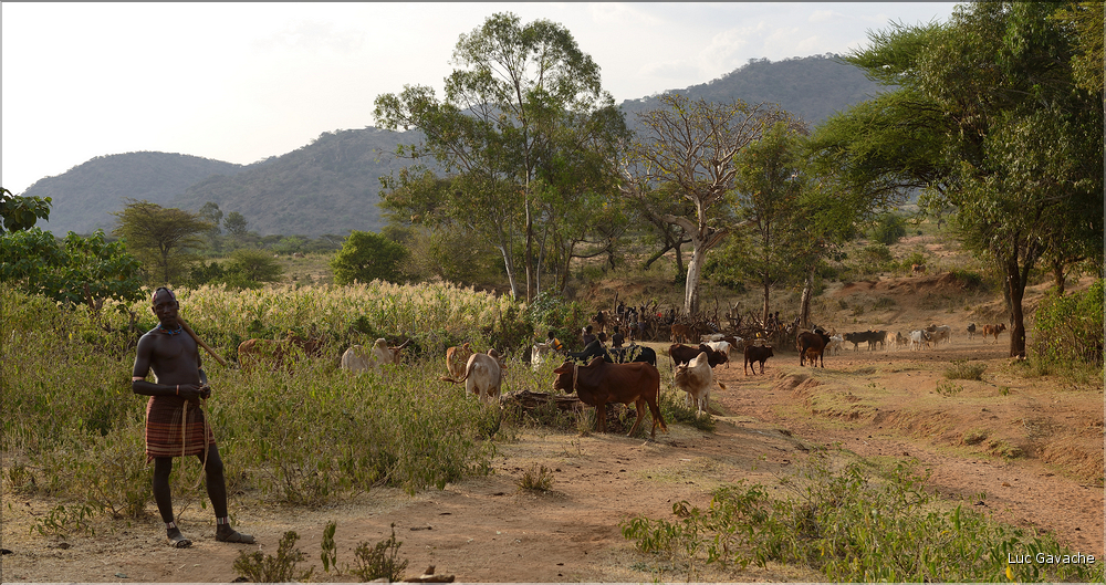Les Banna de la région de Key Afer sont des cousins des Hamer, avec qui ils partagent le même mode vie agropastorale. (22)