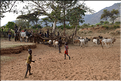 Les Banna de la région de Key Afer sont des cousins des Hamer, avec qui ils partagent le même mode vie agropastorale. (25)