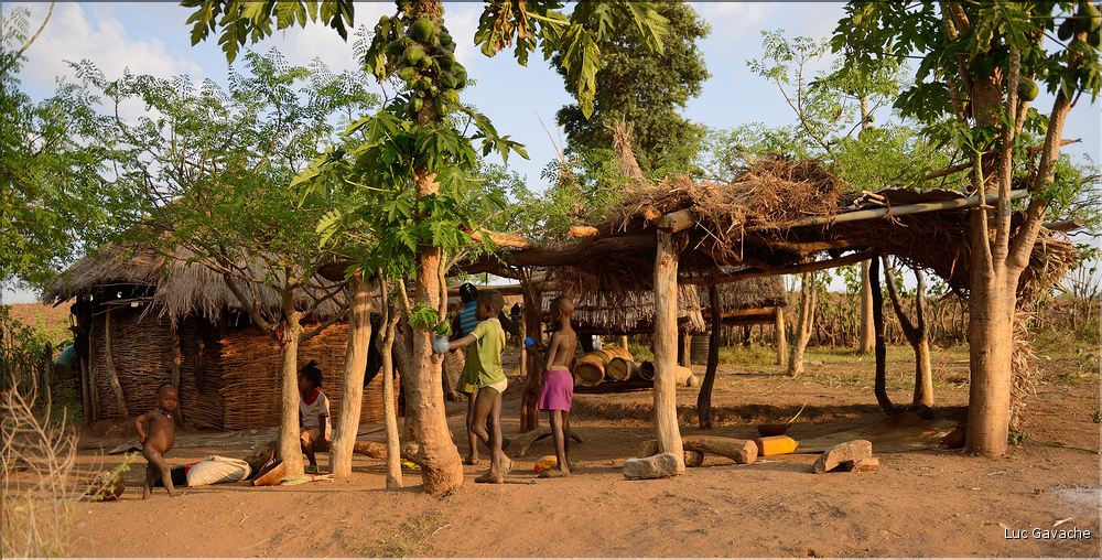 Visite d'un habitat Banna. (1)