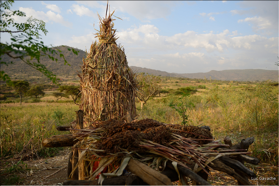 Visite d'un habitat Banna. Ici des greniers à grains. (2)