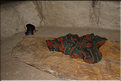 Visite d'un habitat Banna. La hutte principale abrite également un grenier à grains juste au-dessous d'une des chambres. (2)