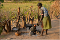 Visite d'un habitat Banna. Préparation d'une décoction à base décorces de grains de café. (1) 