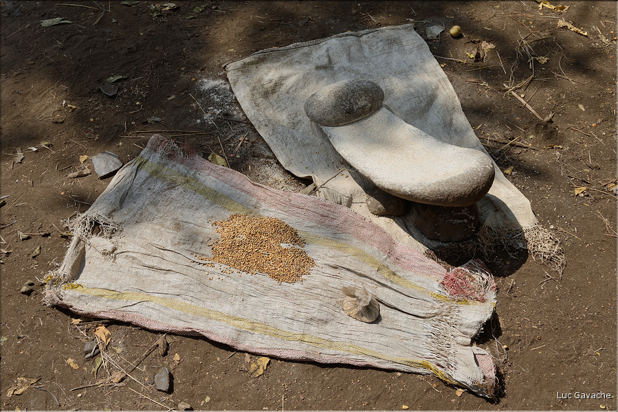 Ils sont éleveurs et cultivent le sorgho et le mas, qui sont leurs aliments de base. (2)
