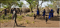 Les Mursi ne sont pas très nombreux puisqu'on en recense moins de 10.000 individus. (1)