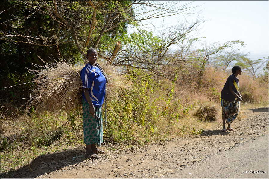 Dans les environs de la ville de Konso. (5)