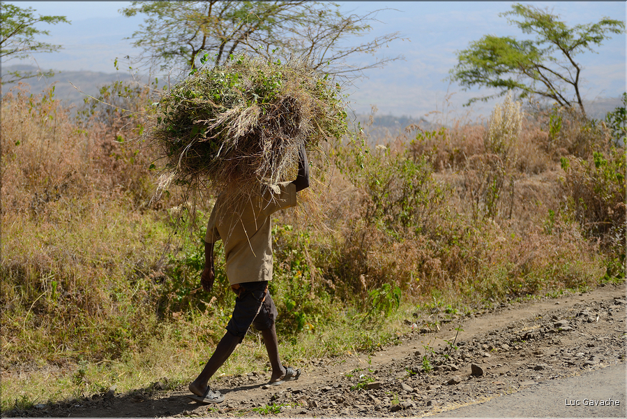 Dans les environs de la ville de Konso. (6)