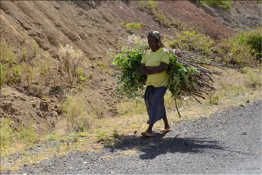 Dans les environs de la ville de Konso. (7)