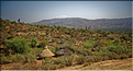 Dans les environs de la ville de Konso. (11)
