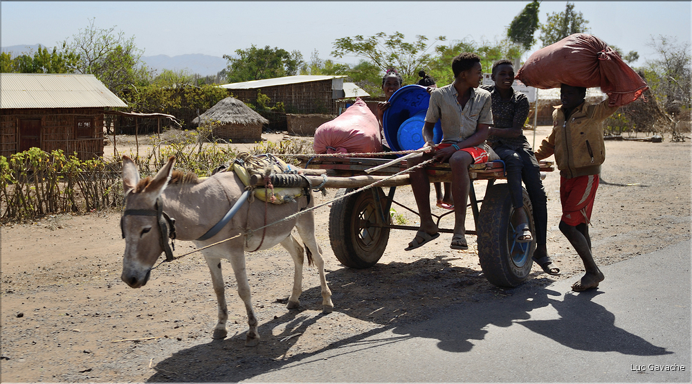 Dans les environs de la ville de Konso. (27)