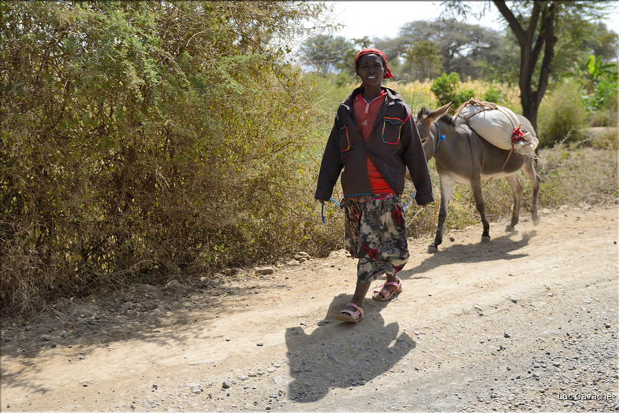 Dans les environs de la ville de Konso. (28)