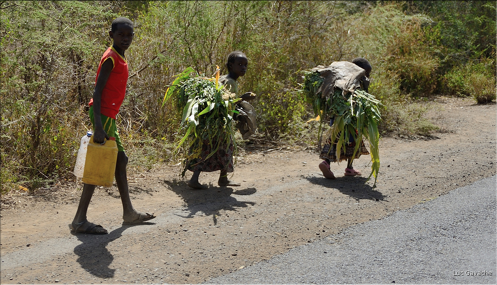 Dans les environs de la ville de Konso. (29)