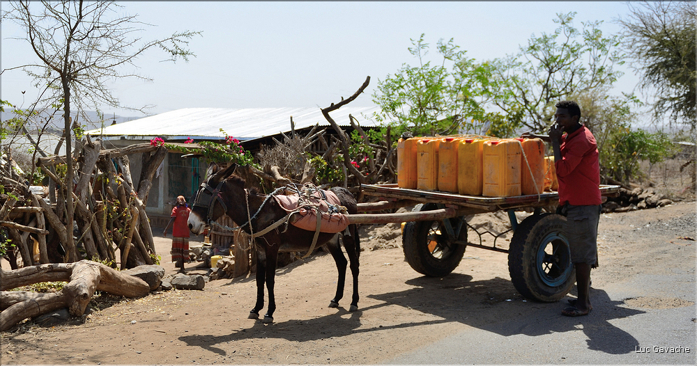 Dans les environs de la ville de Konso. (36)