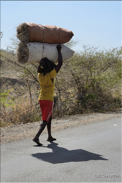 Dans les environs de la ville de Konso. (41)