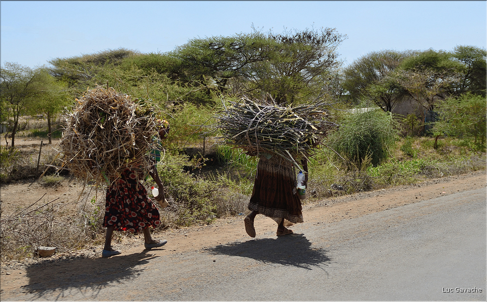 Dans les environs de la ville de Konso. (42)