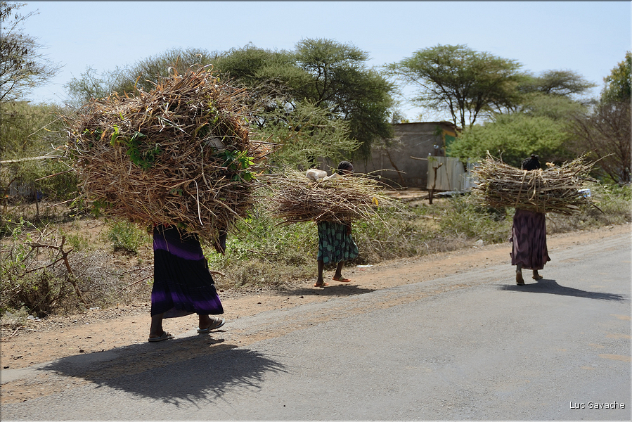 Dans les environs de la ville de Konso. (43)