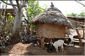Le village de Gamolé est peuplé de l'ethnie Konso. (4)