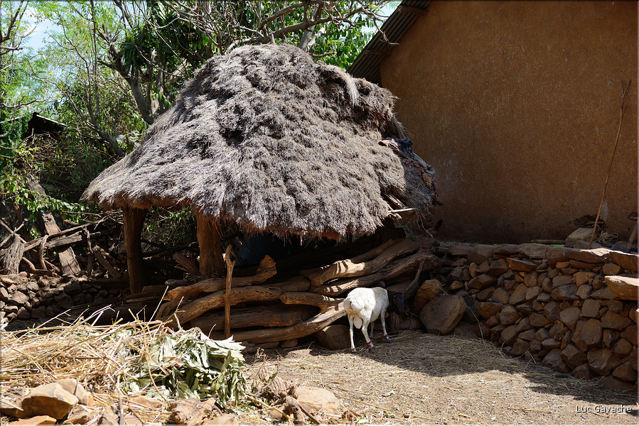 Le village de Gamolé est peuplé de l'ethnie Konso. (9)