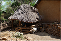 Le village de Gamolé est peuplé de l'ethnie Konso. (9)