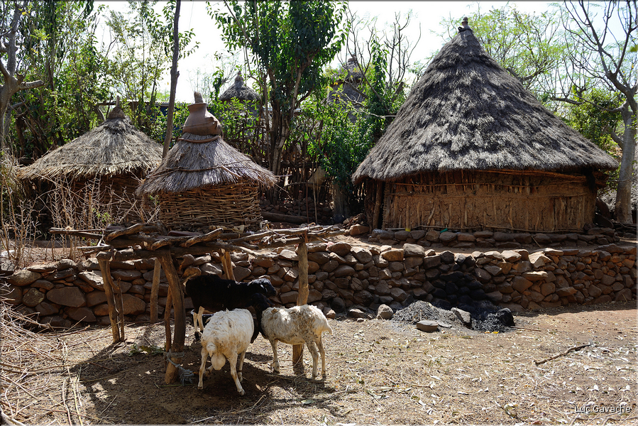 Le village de Gamolé est peuplé de l'ethnie Konso. (10)