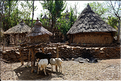 Le village de Gamolé est peuplé de l'ethnie Konso. (10)