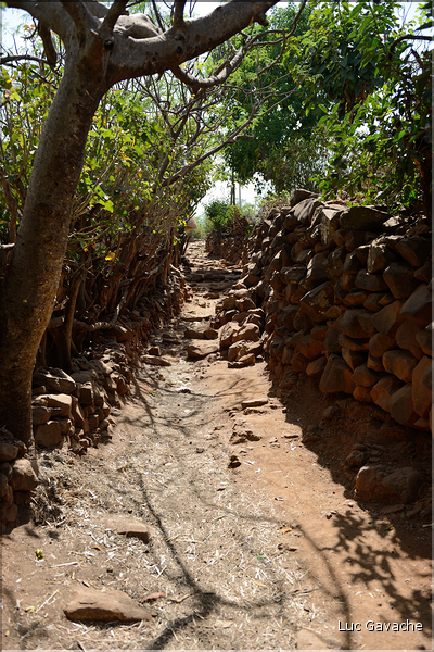 Le village de Gamolé est peuplé de l'ethnie Konso. (15)