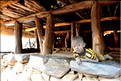 Les moras sont construits tous les 18 ans pour chaque génération. Ces pôles occupent une place importante dans la vie sociale des Konso. (3)
