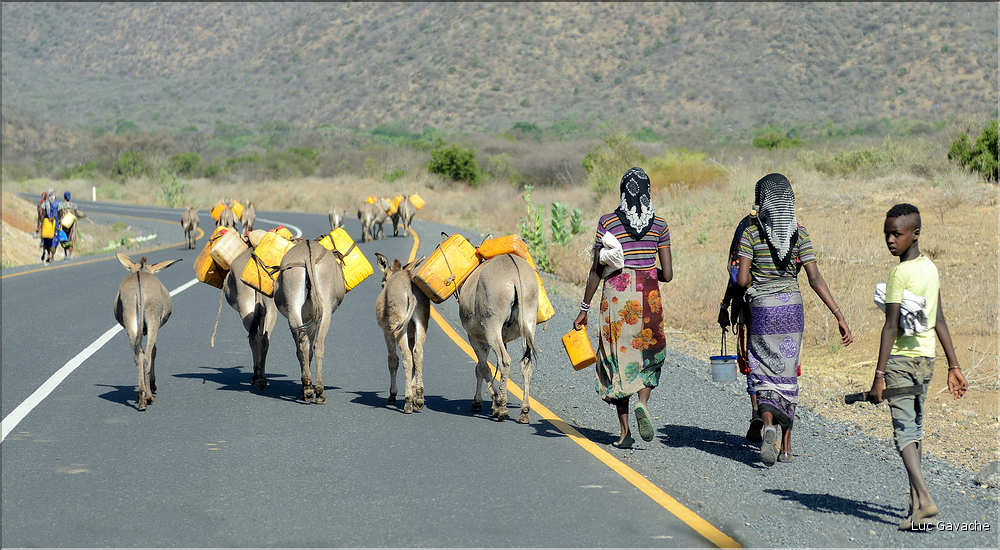 Le long de la route entre Konso et Yabelo. (24)