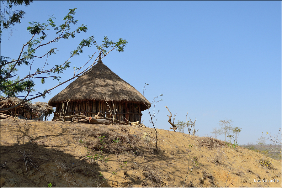 Le long de la route entre Konso et Yabelo. (32)