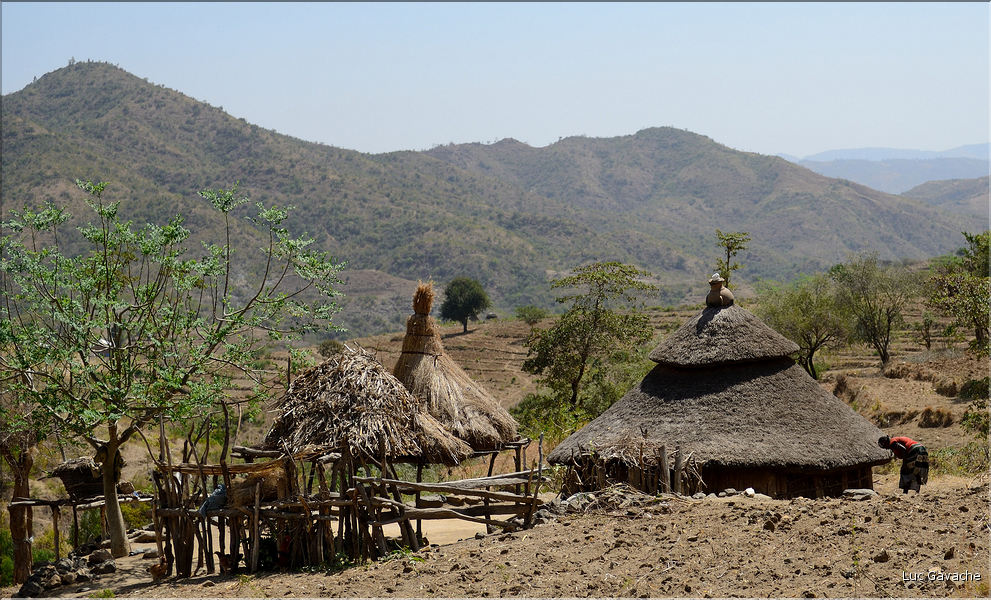 Le long de la route entre Konso et Yabelo. (44)