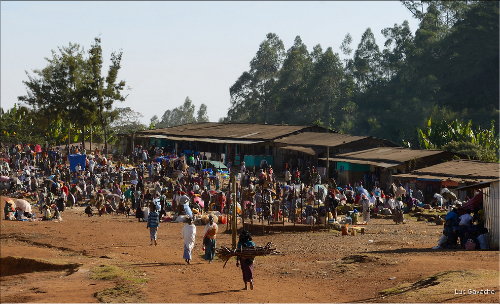 Jour de marché chez les Dorzes du village d'Hayzo près d'Arbaminch. (1)