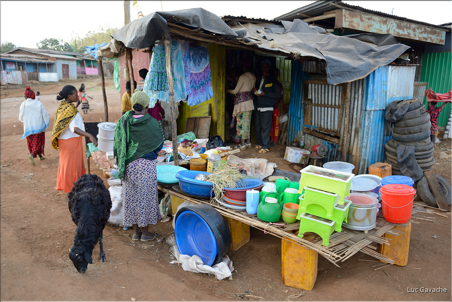 Jour de marché chez les Dorzes du village d'Hayzo près d'Arbaminch. (12)