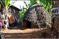 L'habitat traditionnel des Dorze est fait de bambous. (1)