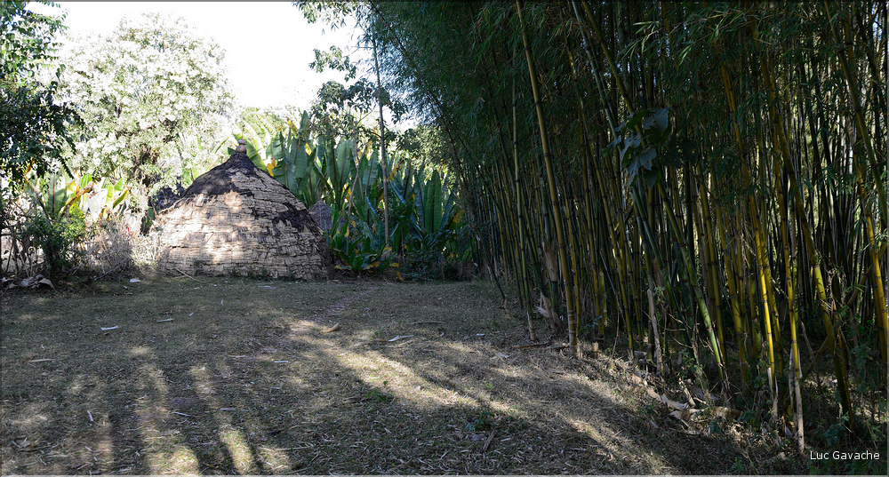 L'habitat traditionnel des Dorze est fait de bambous. (2)