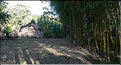L'habitat traditionnel des Dorze est fait de bambous. (2)