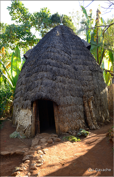 L'habitat traditionnel des Dorze est fait de bambous. (5)