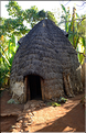 L'habitat traditionnel des Dorze est fait de bambous. (5)