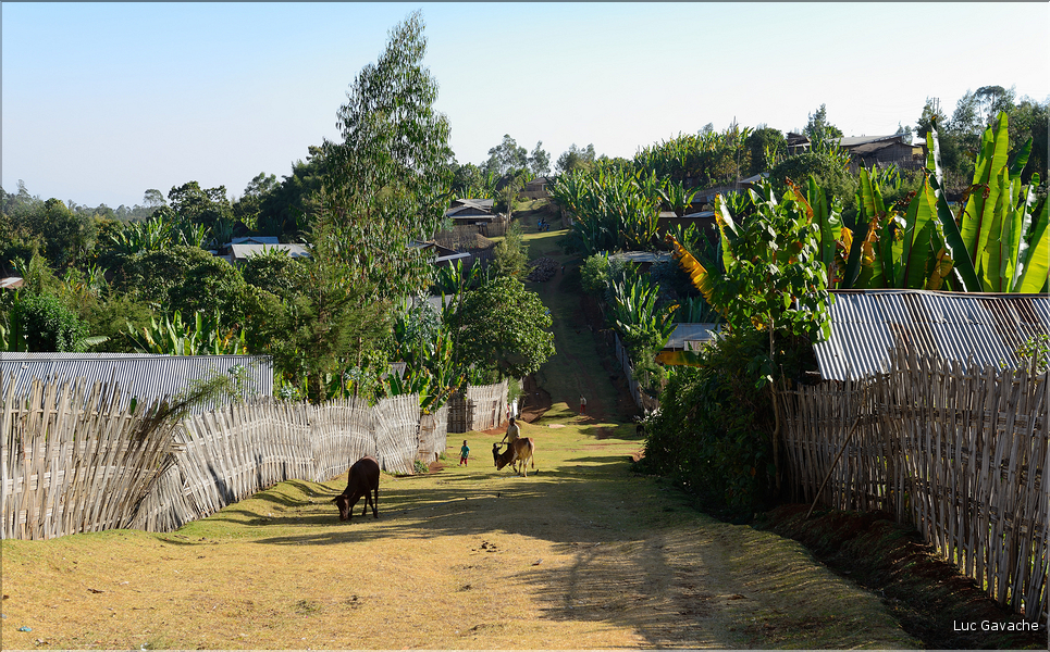 Dans le village Dorze d'Hayzo. (6)